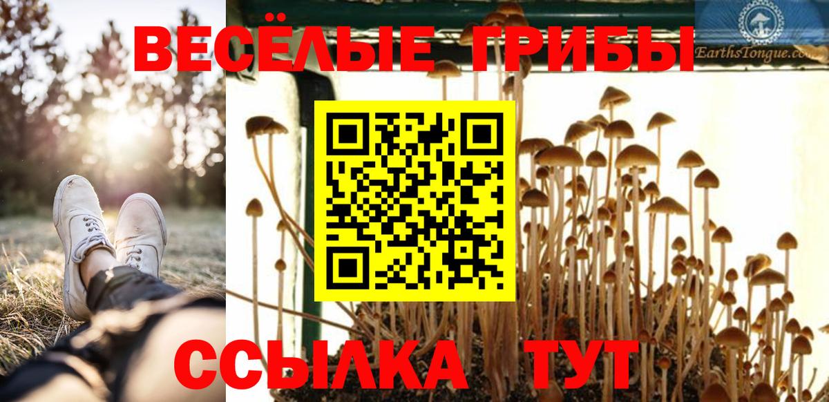 Галлюциногенные грибы Magic Shrooms  Вход с VPN  Арзамас 