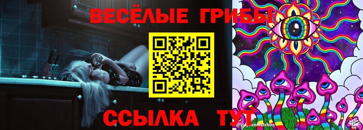 Галлюциногенные грибы Psilocybe Арзамас